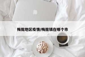梅陇地区疫情/梅陇镇在哪个市